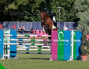 De Lucia Ballantines Giovanili2013 S5 5742 : Arezzo Equestrian Centre, Ballantines, De Lucia Federico, foto di Stefano Secchi ©. Campionati Italiani Giovanili 2013